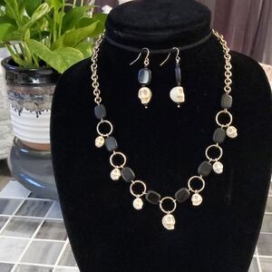 Black and Silver Skull Necklace and Earring Set